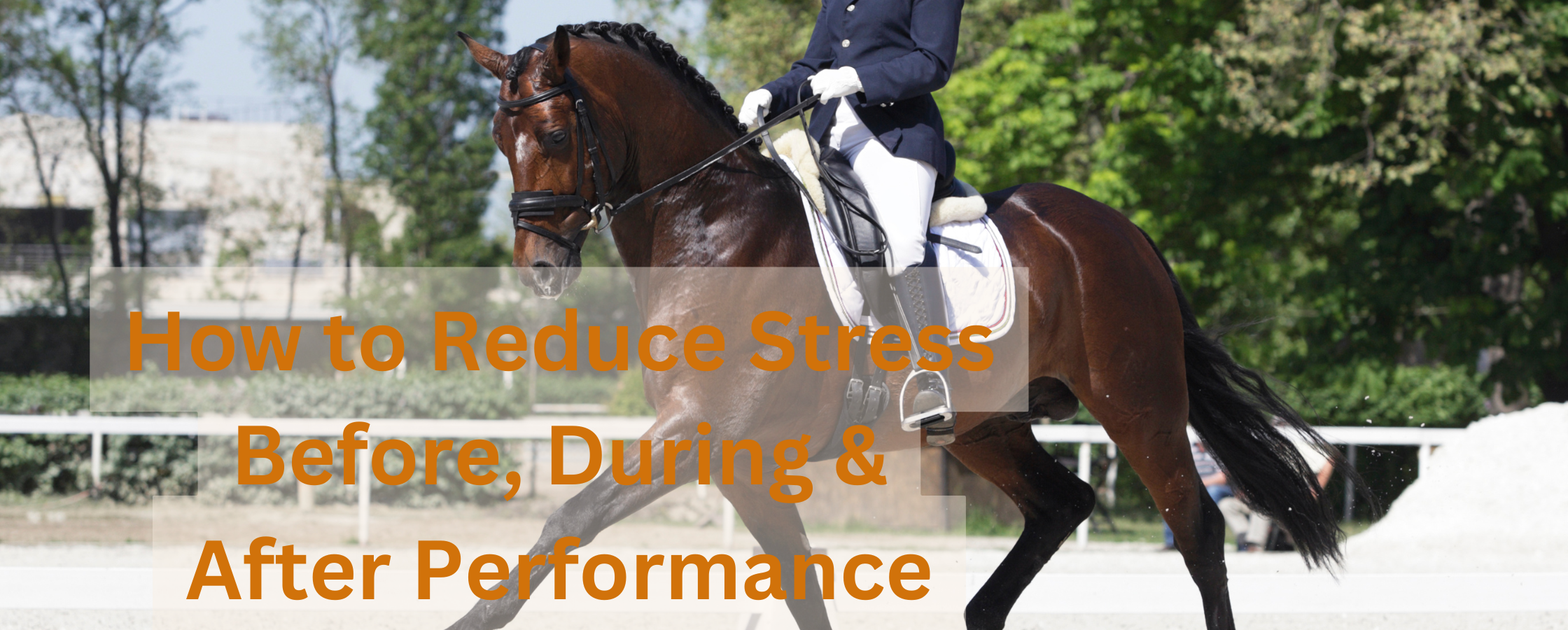 How to Reduce Stress Before, During and After Your Horse's Performance
