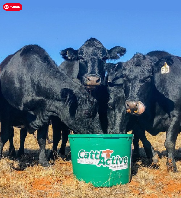 CattlActive® Lick Tubs