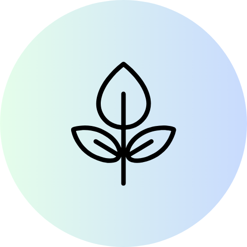 Alt Image