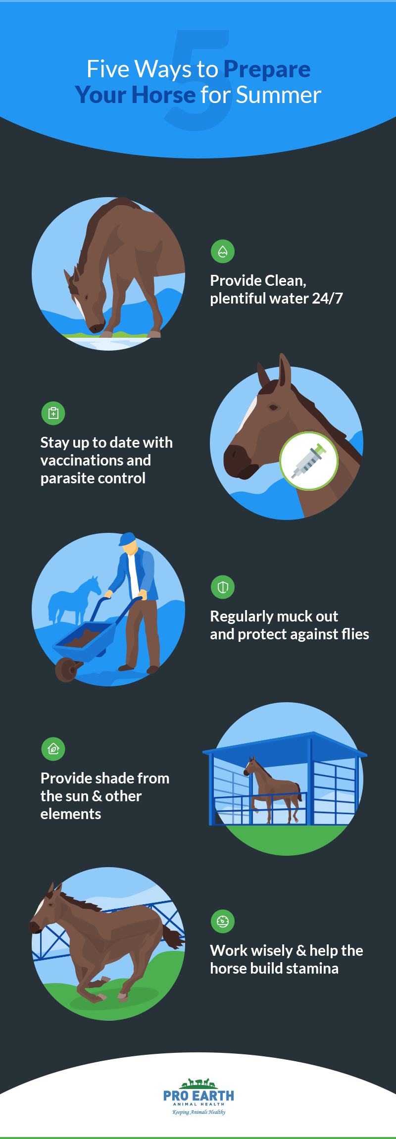 5 Ways To Prepare Your Horse For Summer