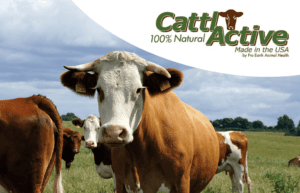 Cattleactive | Pro Earth Animal Health