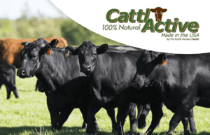 Cattleactive | Pro Earth Animal Health