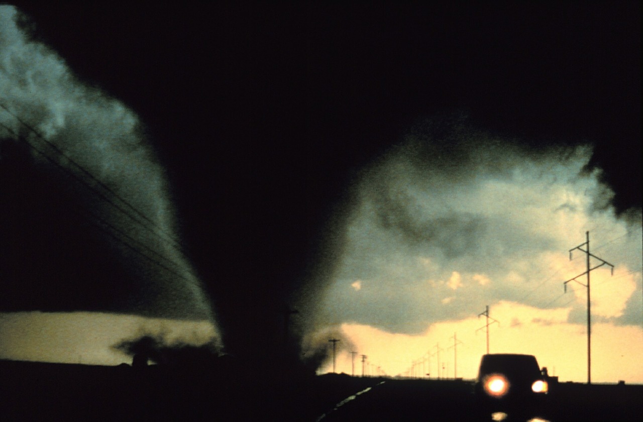 Tornado | Pro Earth Animal Health