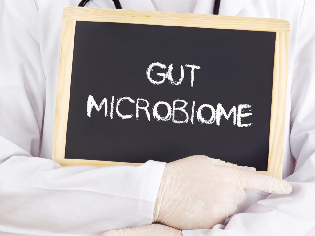 Gut Microbiome | Pro Earth Animal Health