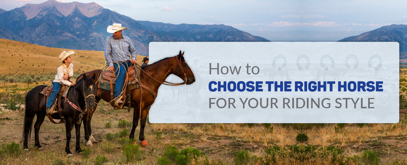 Horse Breeds for Your Riding Style Pro Earth Animal Health