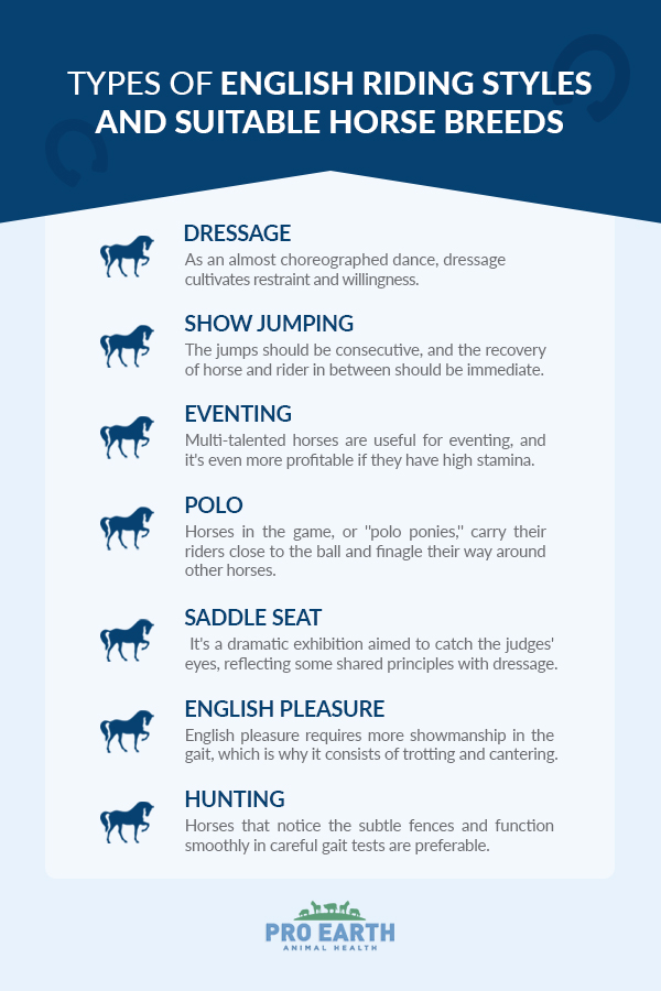 The types of English riding styles and suitable horse breeds