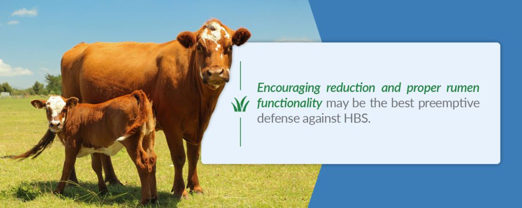 Encouraging reduction and proper rumen functionality may be the best preemptive defense against HBS.