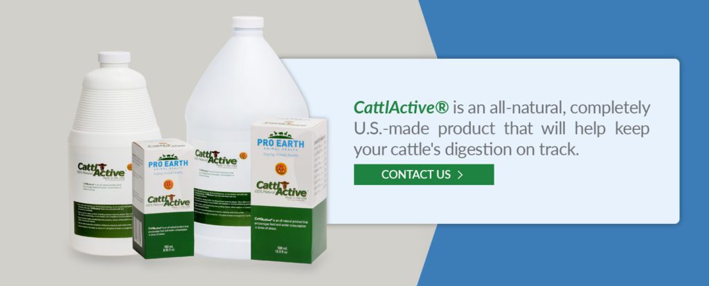 Cattlactive is an all-natural product that will help keep your cattle's digestion on track.