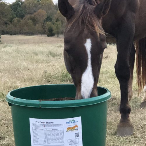 Horse Consuming Tub | Pro Earth Animal Health