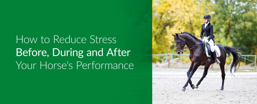 How to Reduce Stress Before, During and After Your Horse's Performance