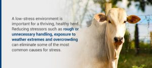 Facilities for lowering stress | Pro Earth Animal Health