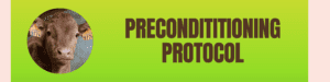 Precon Protocol | Pro Earth Animal Health