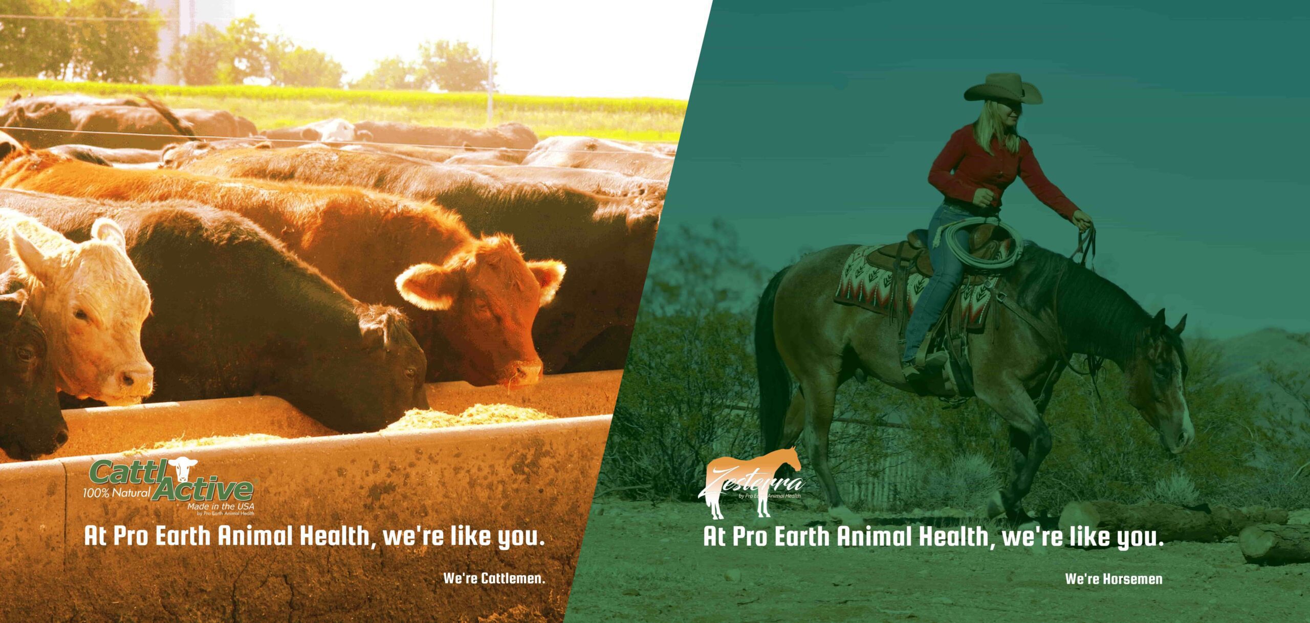 Home - Pro Earth Animal Health